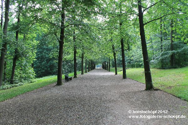 Bayreuth Eremitage - Allee vom Schneckenberg